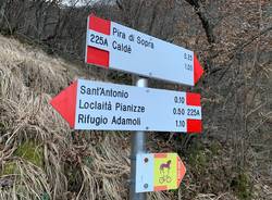 Il foto racconto di una mattinata nei boschi a caccia degli spacciatori