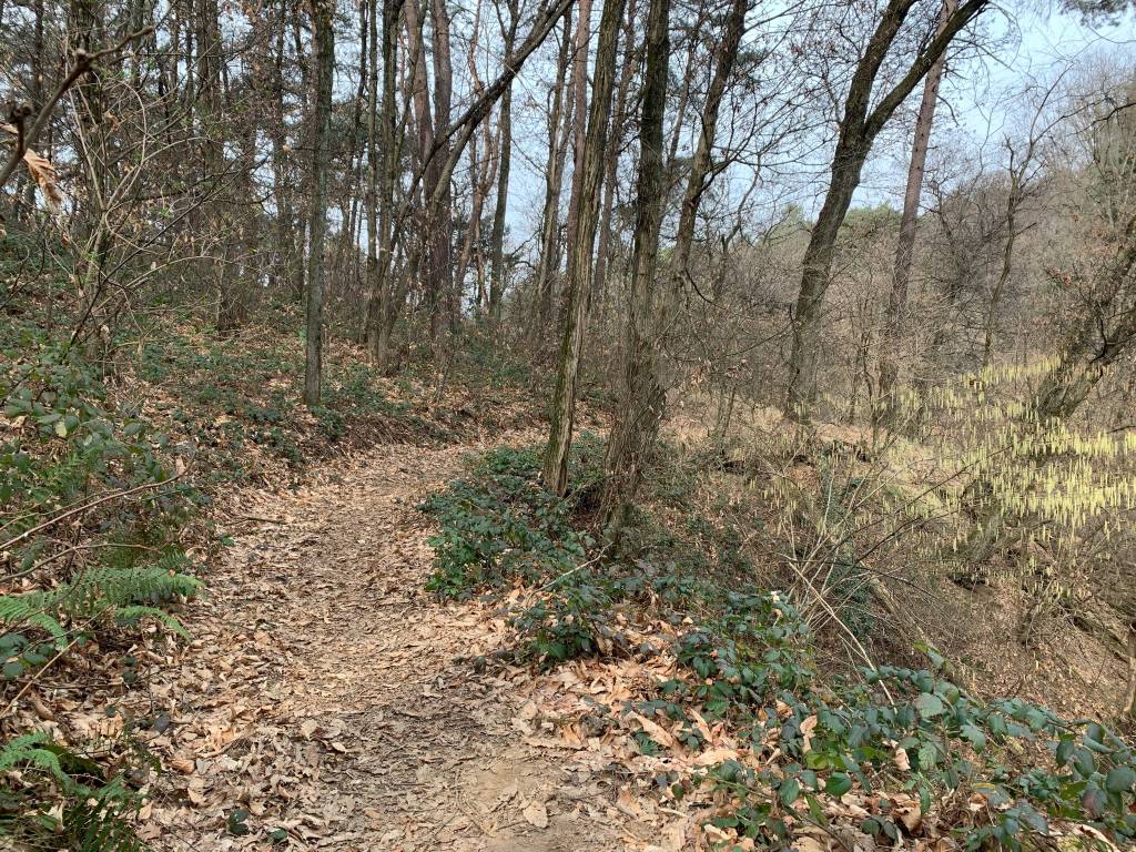 Anello di San Quirico ad Angera e Ranco