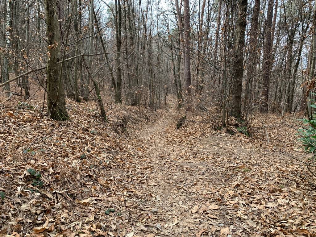 Anello di San Quirico ad Angera e Ranco