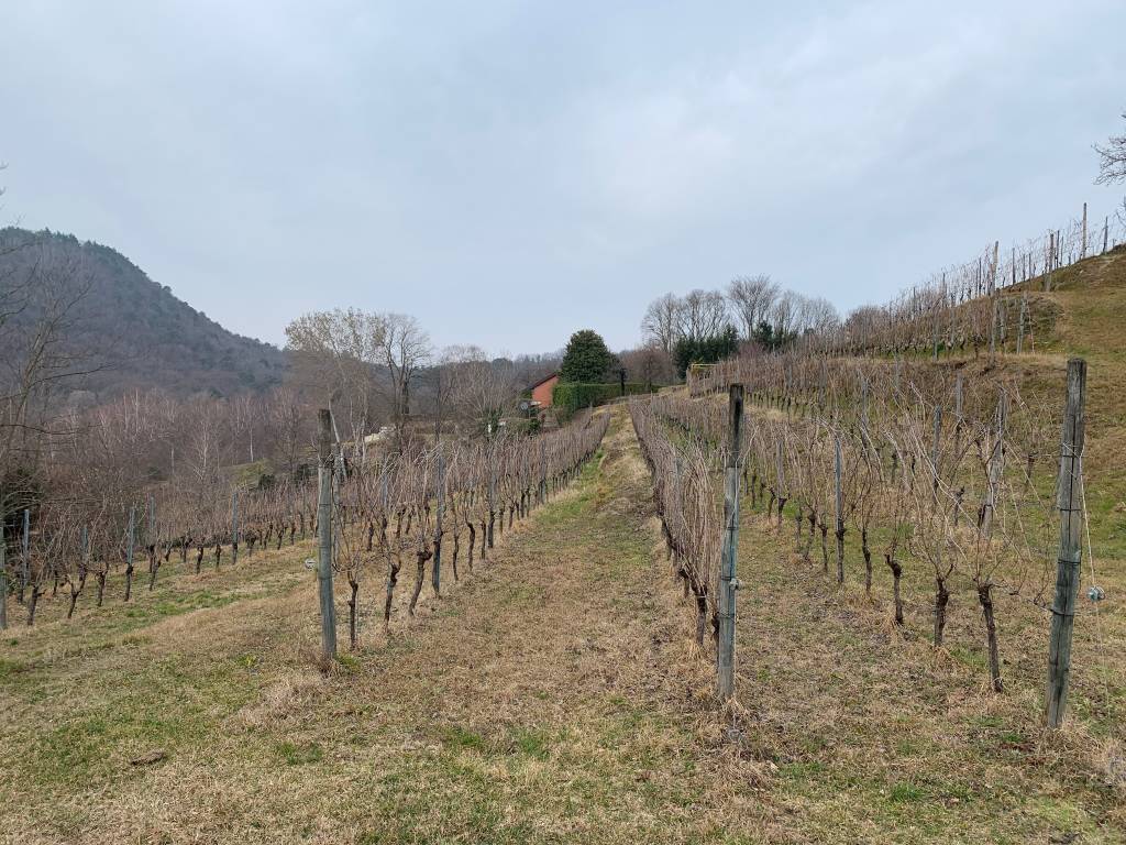 Anello di San Quirico ad Angera e Ranco