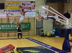 carnival show arona
