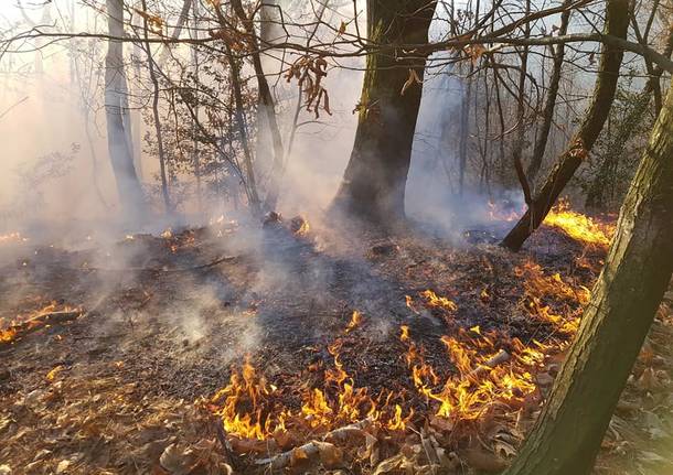 volontari antincendio boschivo brezzo di bedere