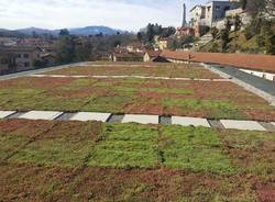 Besozzo Varie