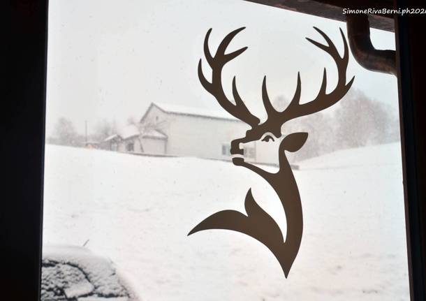 Torna la neve in Forcora