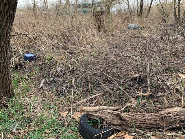 oasi della bruschera