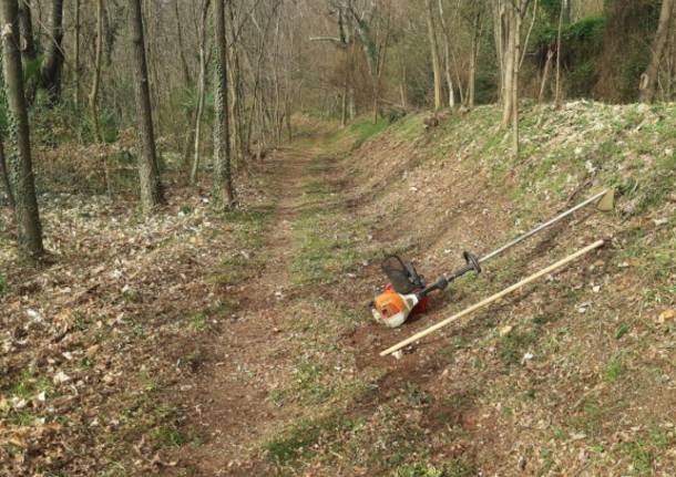 Sentieri di 14 Km a Besozzo