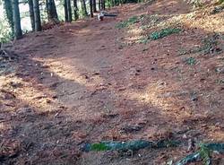 Sentieri di 14 Km a Besozzo