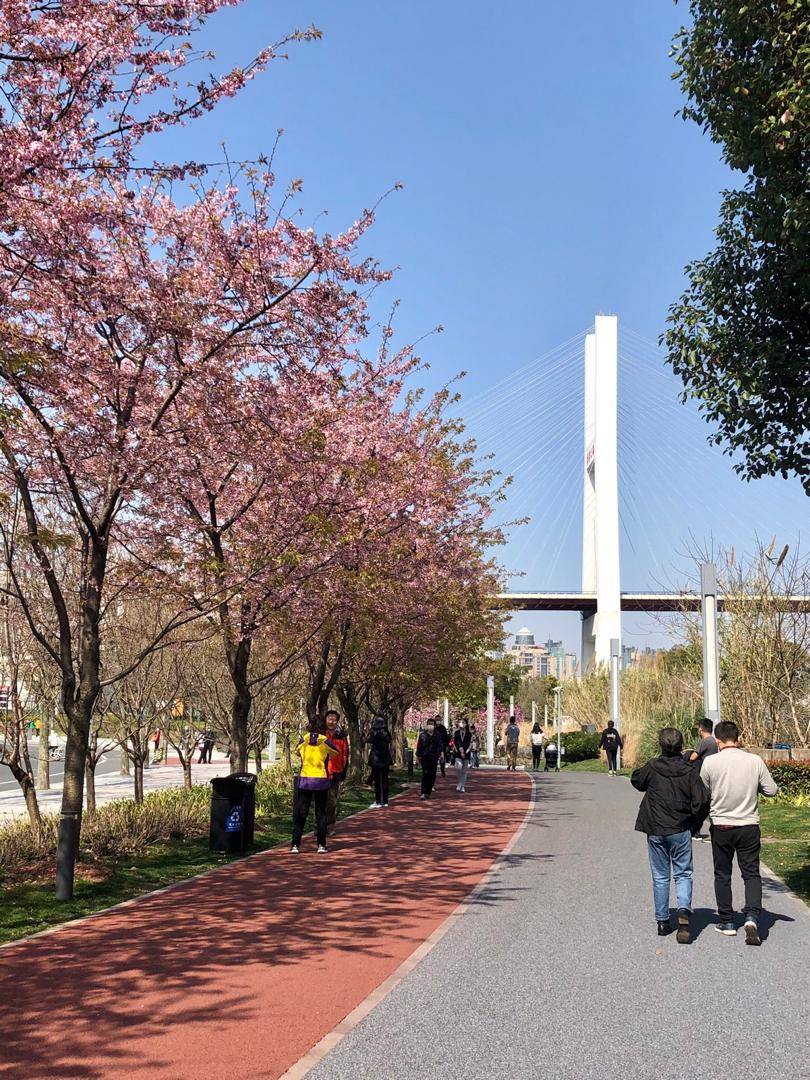 Shangai marzo 2020