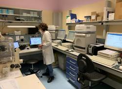laboratorio microbiologia