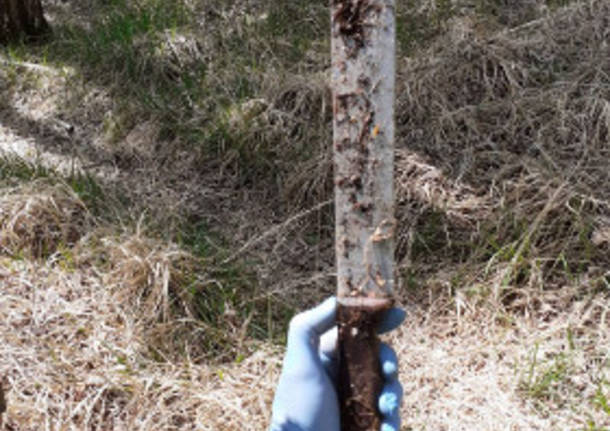 Machete e droga nei boschi delle Groane 