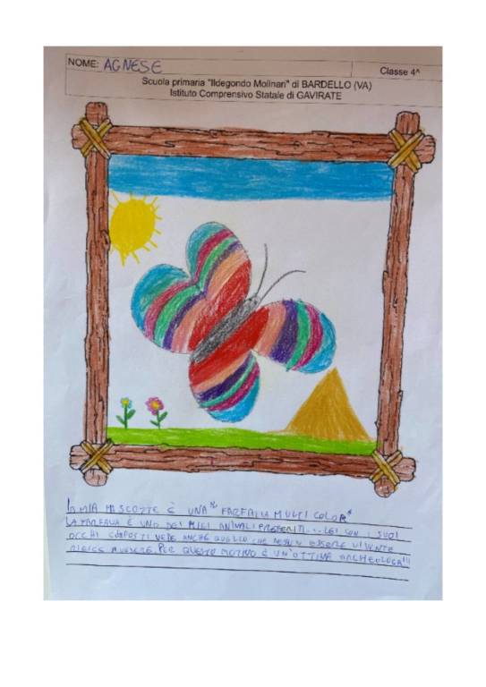 Mascotte Varese 4U Archeo