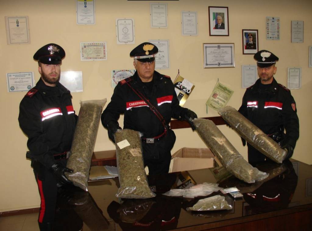 Il sequestro di marijuana a Luino