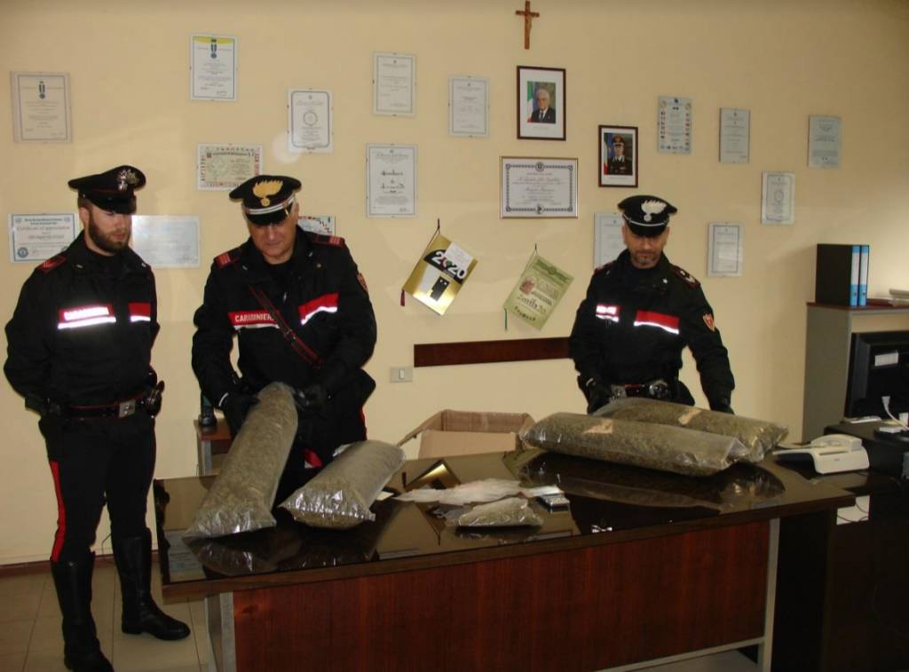 Il sequestro di marijuana a Luino