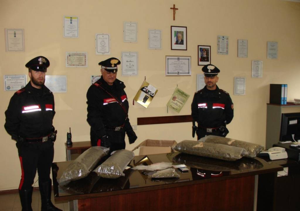 Il sequestro di marijuana a Luino
