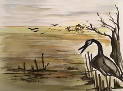 Il racconto della domenica