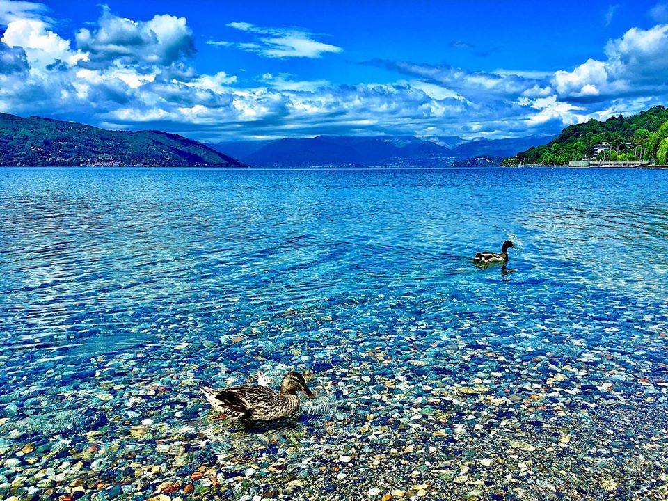 ispra -angelo crimi lago maggiore