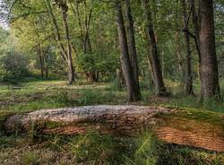 Parco del Ticino generica 