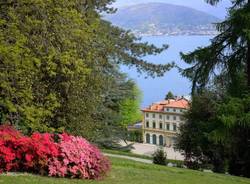 villa pallavicino