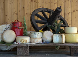 Azienda Agricola La Motta