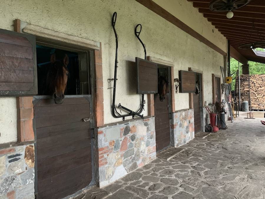 Azienda Agricola La Motta