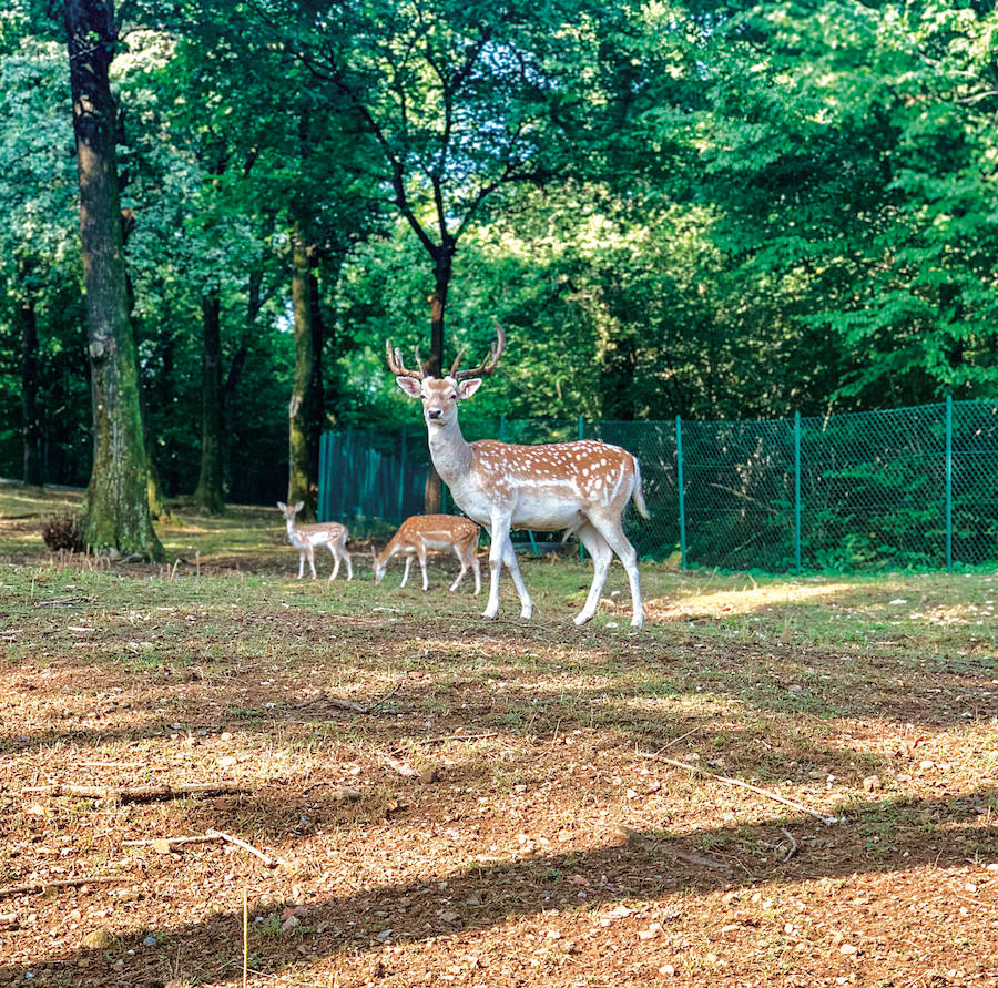 Azienda Agricola La Motta