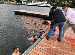 bici finisce nel Lago Maggiore