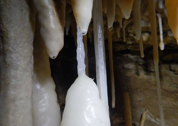 Campo dei Fiori, grotta