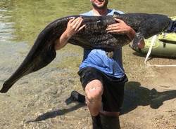 Pescato il \"mostro\" del lago Maggiore