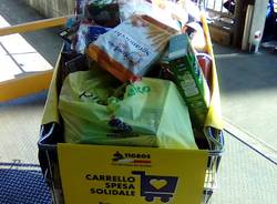 Carrello solidale tigros generica
