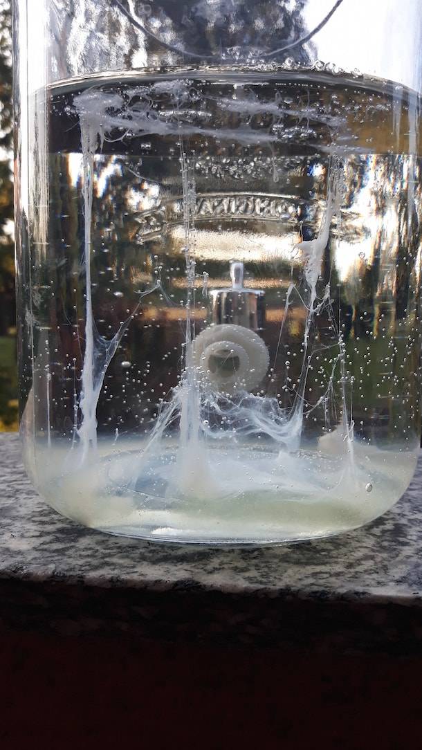 La Barca di San Pietro 2020