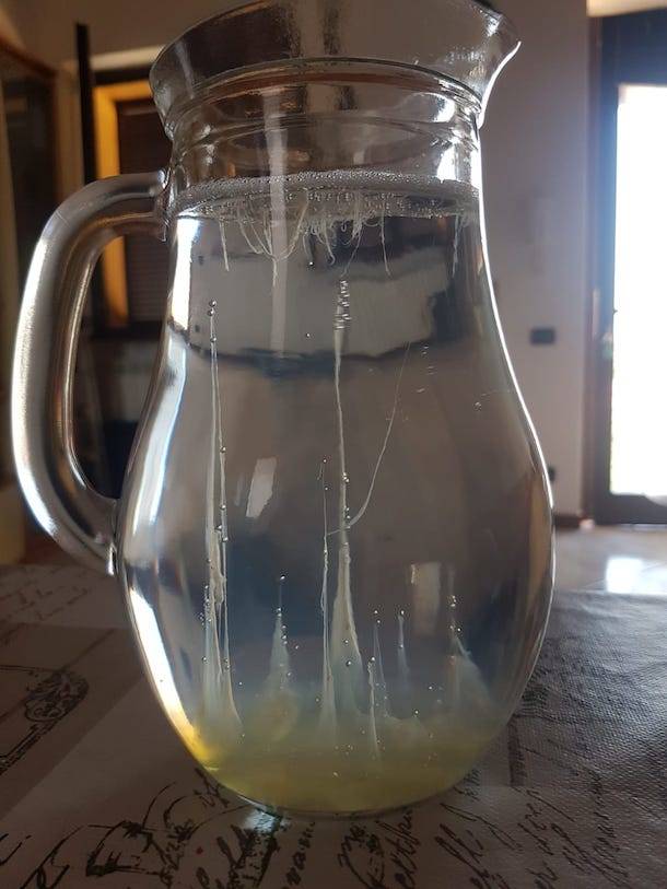 La Barca di San Pietro 2020