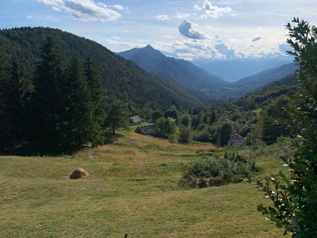 Alpe Blitz Val Vigezzo 