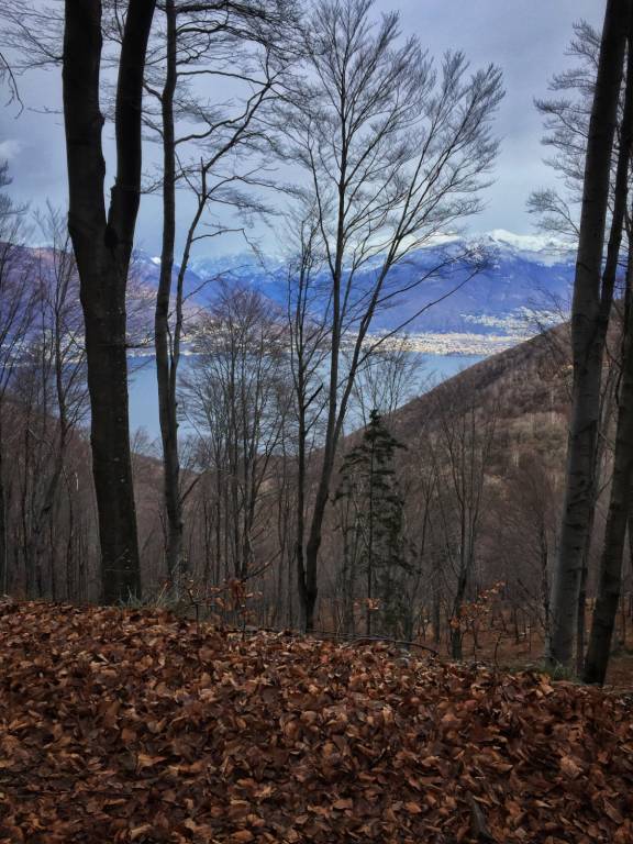 Arriva il servizio bici al Lago Delio