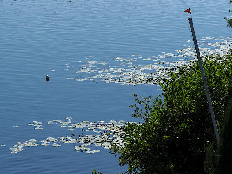 Una domenica sui laghi