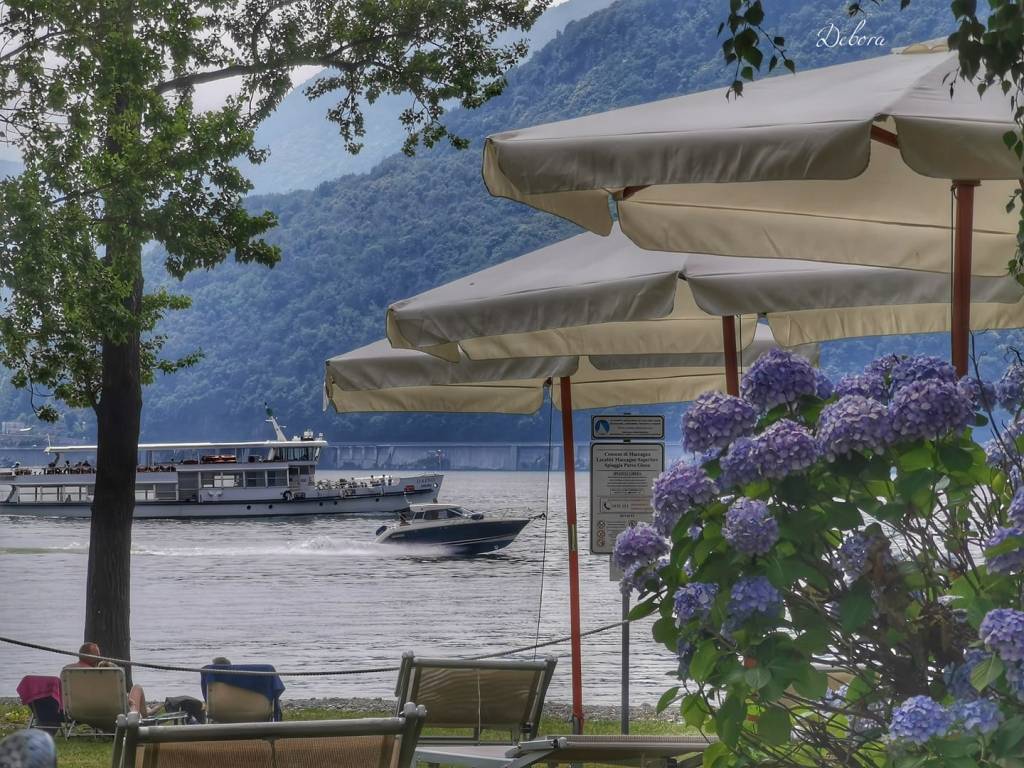 Foto del giorno luglio 2020 