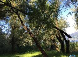 protezione civile monvalle