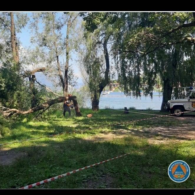 protezione civile monvalle