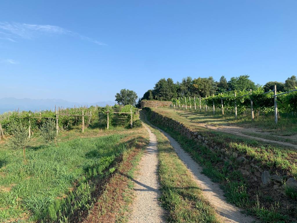 Cammino di Oropa