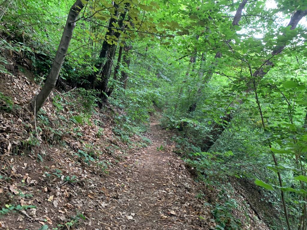Cammino di Oropa