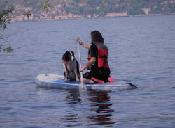 ciac associazione cinofila cani uisp varese