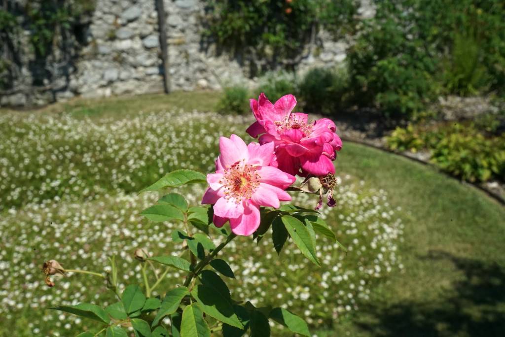 Villa della Porta Bozzolo