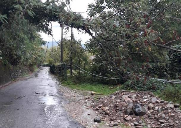 albero caduto castelveccana