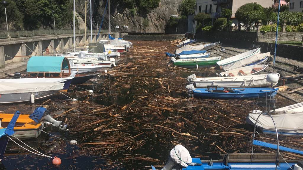 La \"marea\" su alberi e legname sul Lago Maggiore