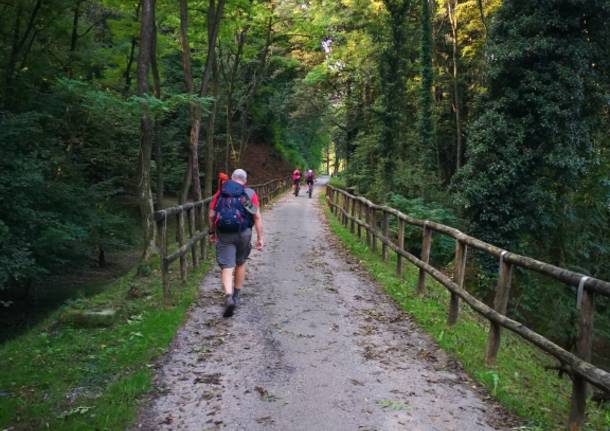 Diario di viaggio: la Via Francisca raccontata da Luciano Puggioni