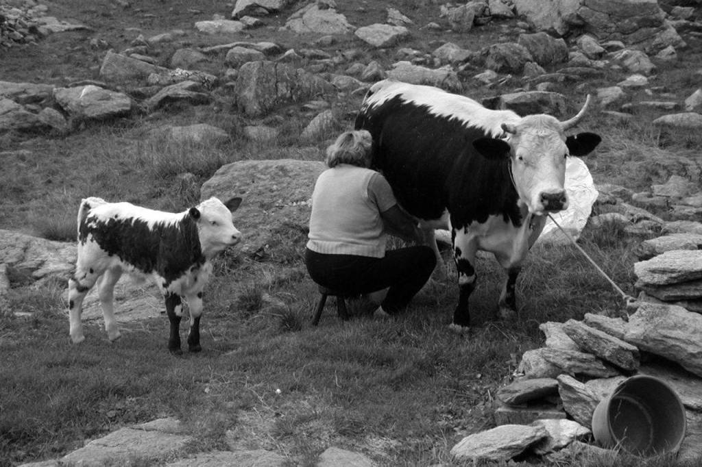 foto lavori d'epoca