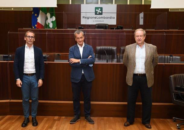 gian antonio girelli presidente commissione emergenza covid
