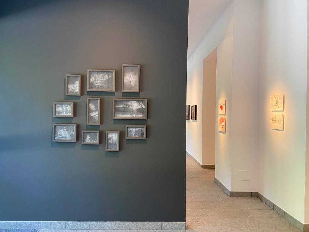 L’artista sloveno Jernej Forbici torna a esporre alla Galleria Punto sull'Arte a Varese