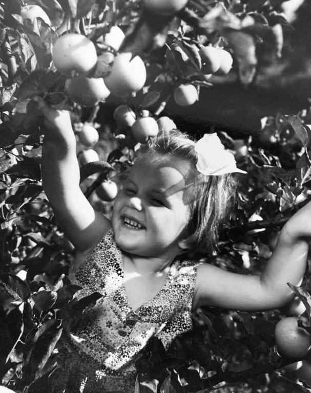 mostra digitale enit