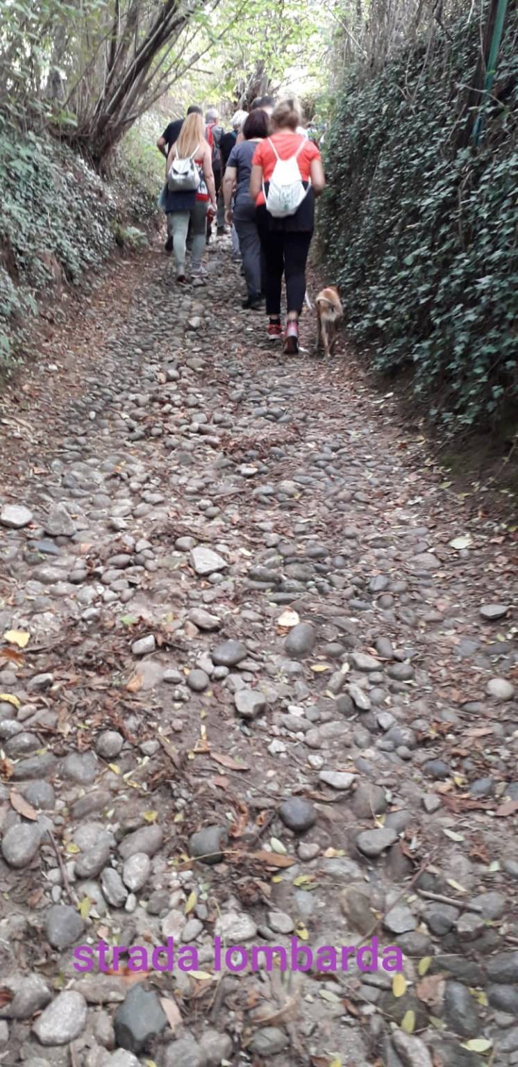 Sentiero delle erbe san quirico angera