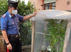 sequestro serra marijuana laveno mombello